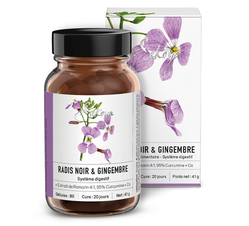 Radis noir & Gingembre